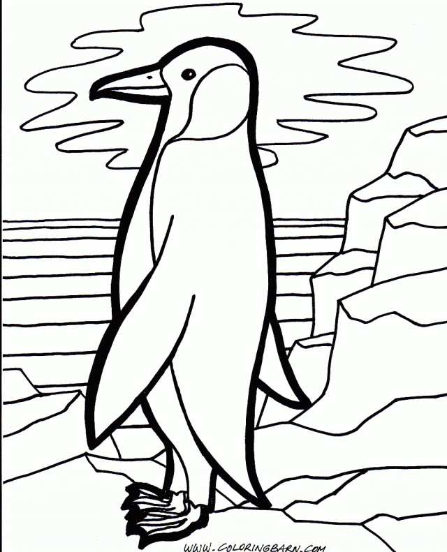 Plansa de colorat cu Pinguin 54 50
